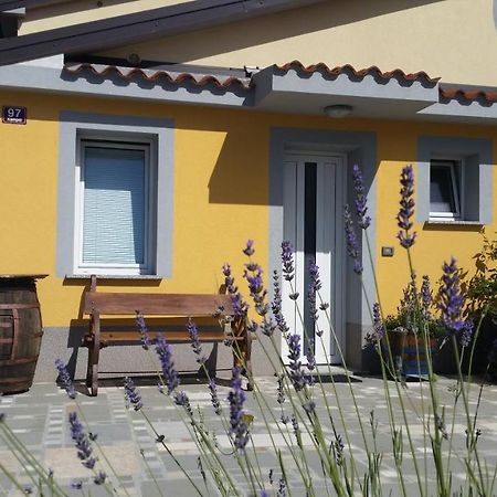קופר Apartma Brnistra Ginestra מראה חיצוני תמונה